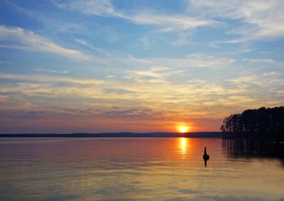 Piper Pointe, a new home community in Pikeville, NC